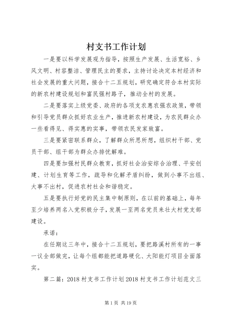 村支书工作计划 (2).docx