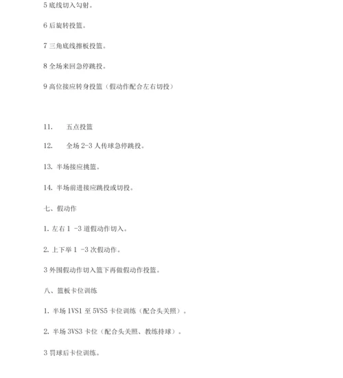 专业篮球训练计划.docx