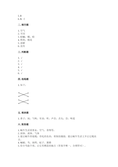 教科版小学科学一年级下册期末测试卷（轻巧夺冠）.docx