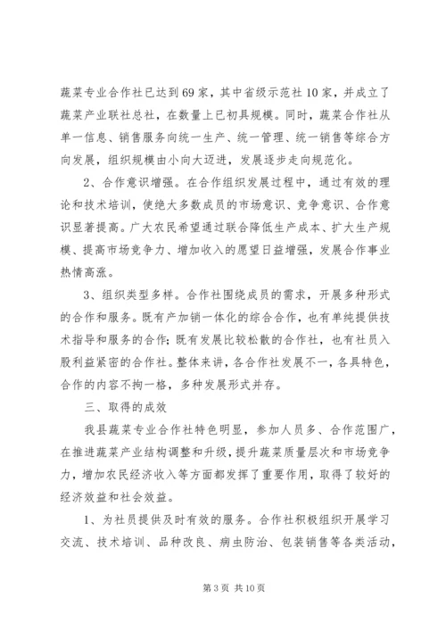 县蔬菜专业合作社调研报告.docx