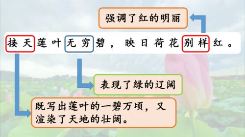15 《古诗二首》（第一课时）——《晓出净慈寺送林子方》  课件