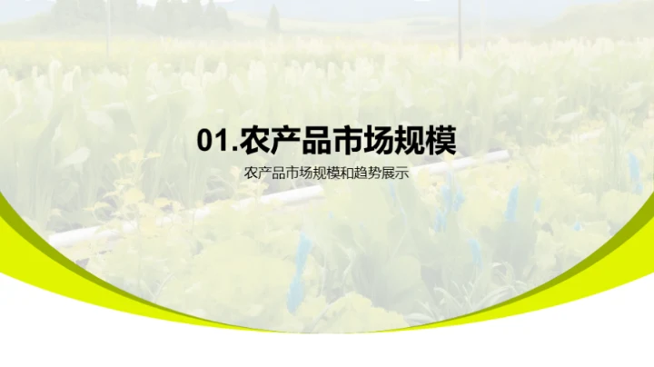 农产品市场洞察解析