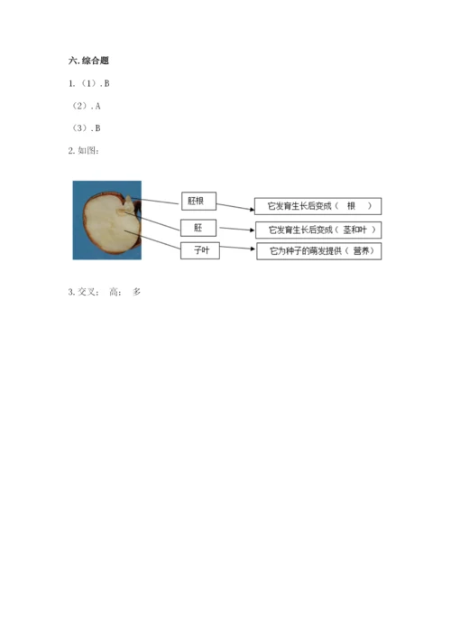 教科版科学四年级下册第一单元《植物的生长变化》测试卷加答案.docx