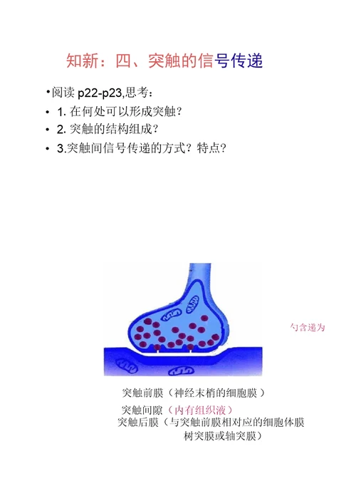 生物：《神经系统的结构和功能》(二)