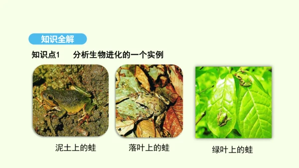 7.3.3生物进化的原因课件-人教版生物八年级下册(共37张PPT)