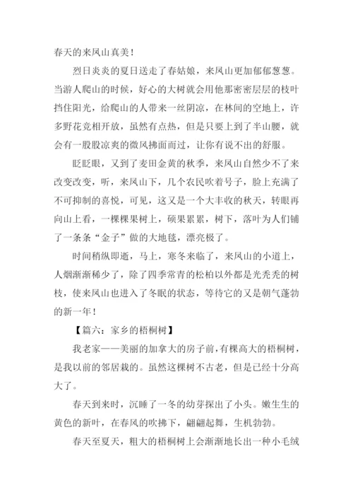 家乡的一处景物作文350字.docx