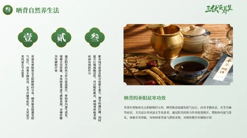 绿色古风三伏天养生健康指南PPT模板