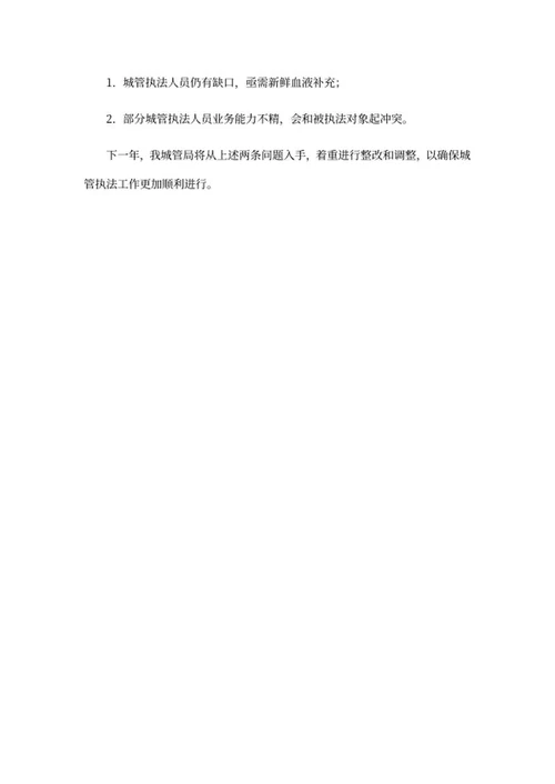 城管局年度工作报告word模板