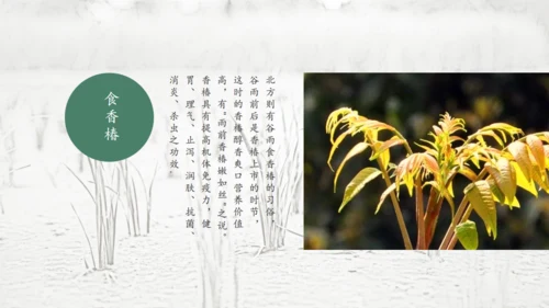 二十四节气谷雨通用PPT模板