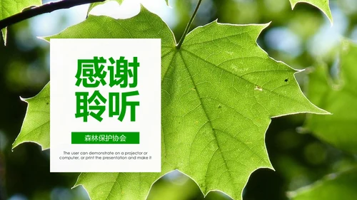 绿色环保世界湿地森林日动态PPT模板