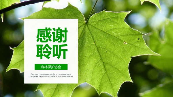 绿色环保世界湿地森林日动态PPT模板