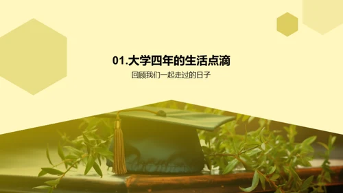 大学四年的历程