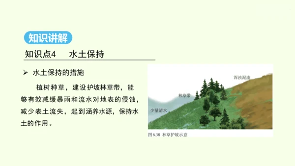 6.3 世界最大的黄土堆积区——黄土高原 第2课时 严重的水土流失 水土保持（课件29张）- 人教版
