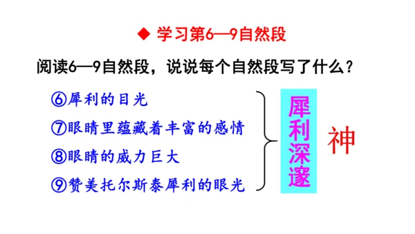 3 列夫·托尔斯泰 课件