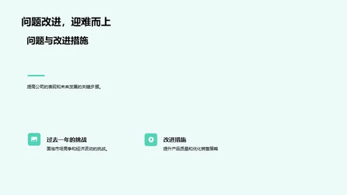 公司发展盘点与展望