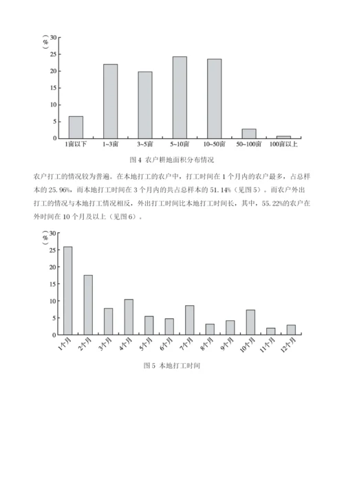 中国农户发展状况分析报告.docx