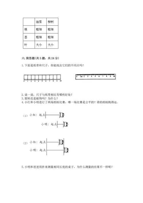 教科版一年级上册科学期末测试卷精品【b卷】.docx