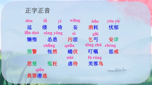 17《猫》课件