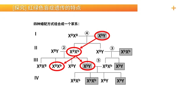 基因学伴性遗传初高中生物PPT课件