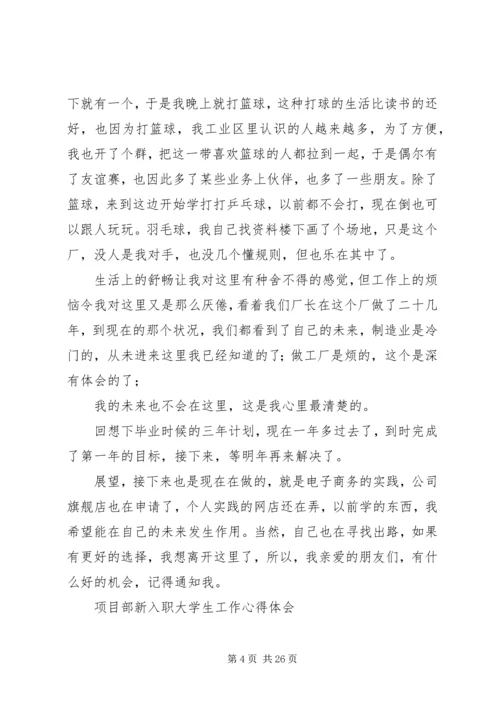 新入职大学生工作体会.docx