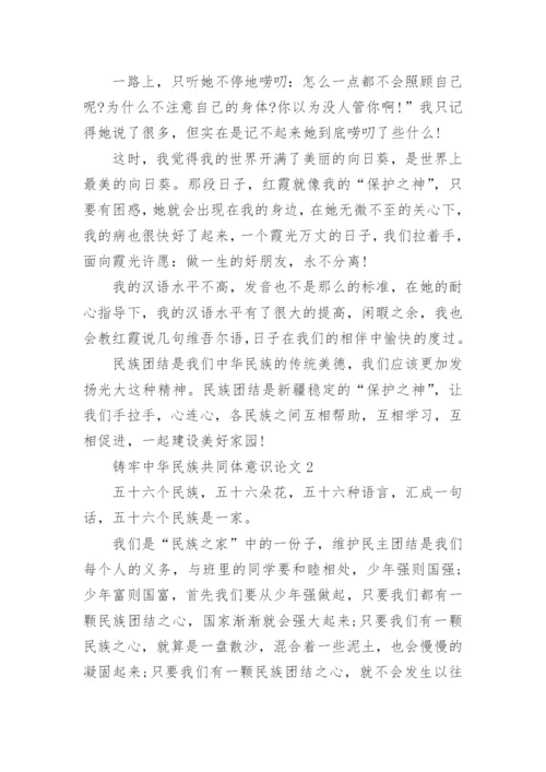 铸牢中华民族共同体意识论文（精选12篇）.docx