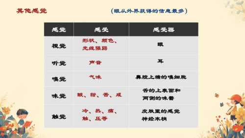 4.6.1  人体对外界环境的感知课件(共20张PPT)人教版 七年级下册