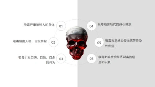 青少年禁毒宣传安全教育通用PPT模板