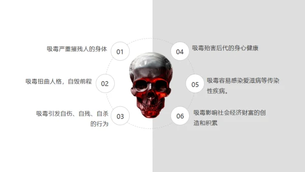 青少年禁毒宣传安全教育通用PPT模板