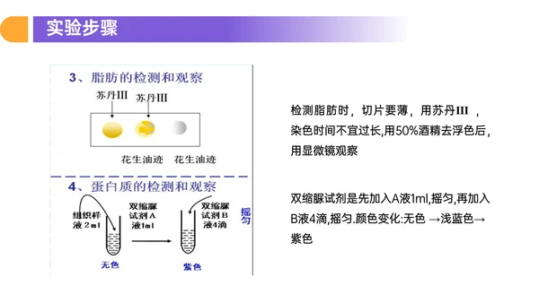 人教版高中生物细胞元素化合物PPT课件