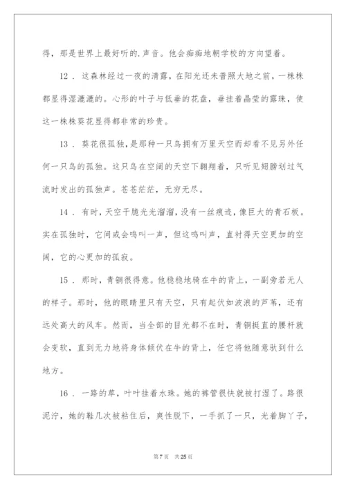 2022《青铜葵花》好词好句.docx
