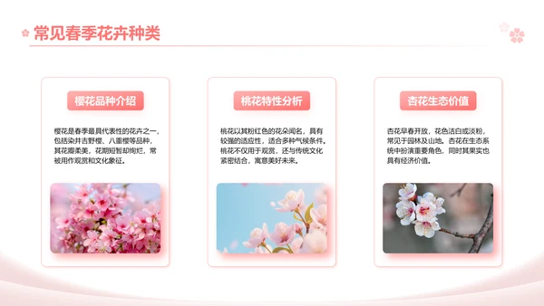 粉色实景风春季花卉主题汇报PPT模板