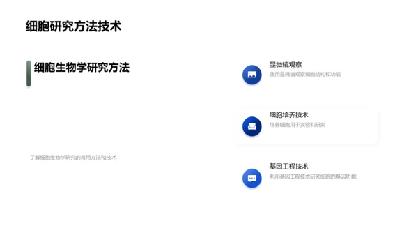 解析细胞之谜