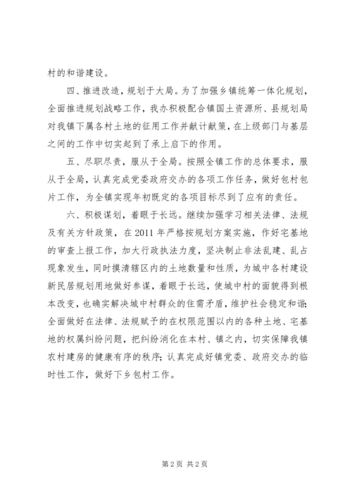 乡镇规划办公室工作总结总结.docx