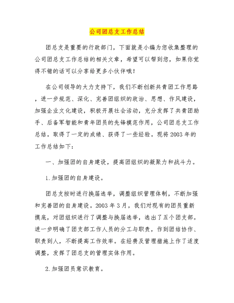 公司团总支工作总结