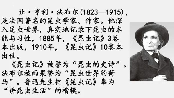 八年级上册语文第五单元 名著导读 《昆虫记》 课件