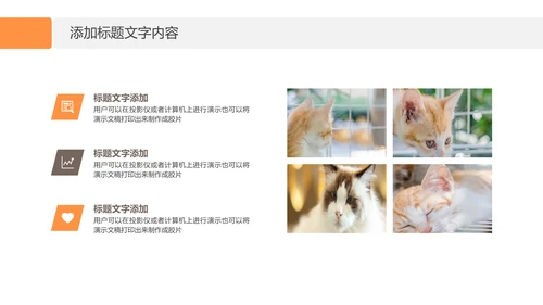 简约风宠物店商业计划书爱宠猫咪PPT模板