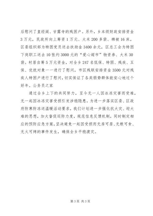 乡镇府防寒防冻抗灾行动汇报小结.docx