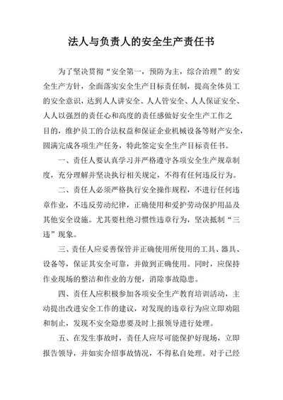 法人与负责人的安全生产责任书
