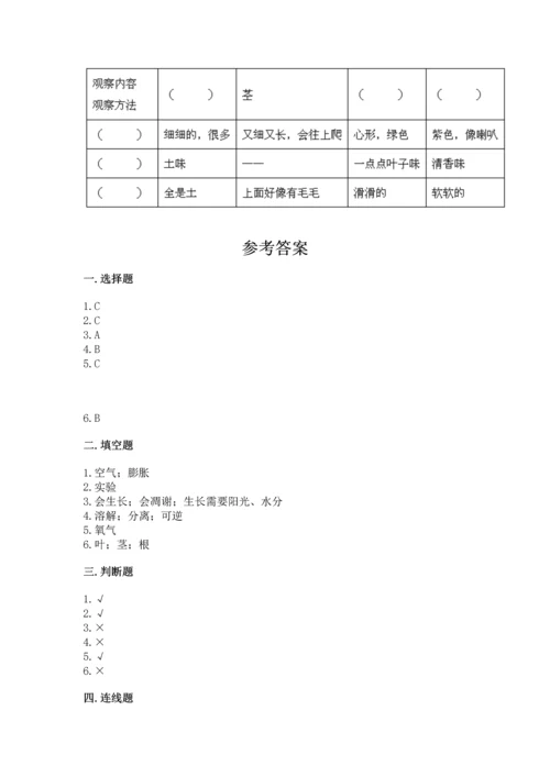 教科版科学一年级上册第一单元《植物》测试卷含完整答案（全优）.docx