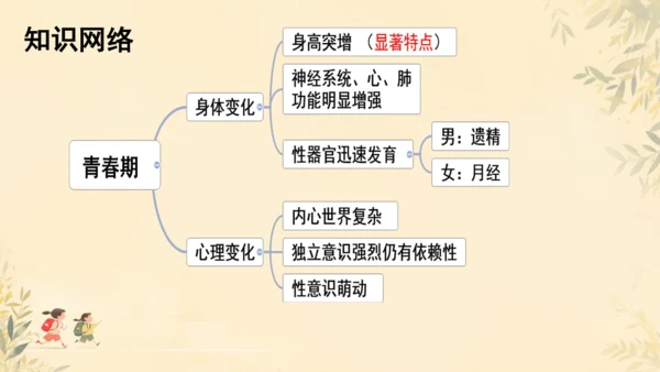 初中生物学人教版（新课程标准）七年级下册4.1.3 青春期课件(共19张PPT)