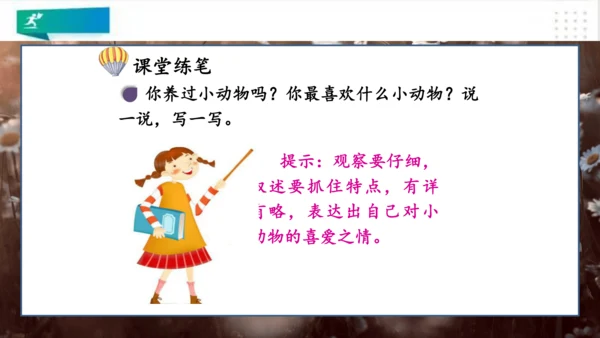 部编版语文三年级上册：第五单元习作例文我家的小狗vs我爱故乡的杨梅   课件（共22张PPT）