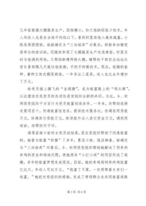 全市农村实施三向培养工程纪实 (2).docx