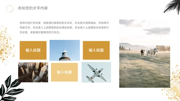 黑金文艺高端短视频运营教程PPT模板
