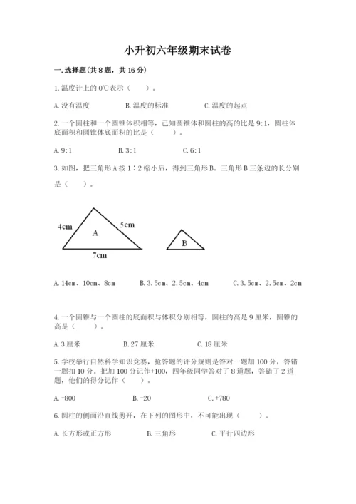 小升初六年级期末试卷（满分必刷）.docx