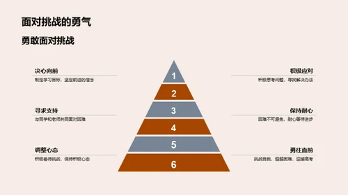 高三求学路：策略与应对