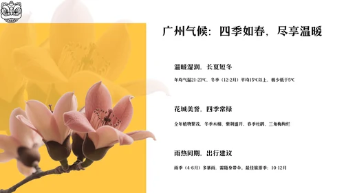 橙黄色现代风广州旅游攻略