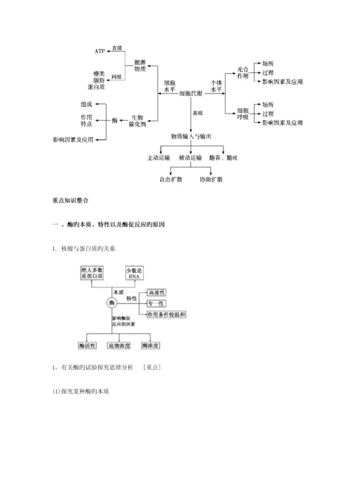 2023年高考生物知识点之细胞的代谢.docx