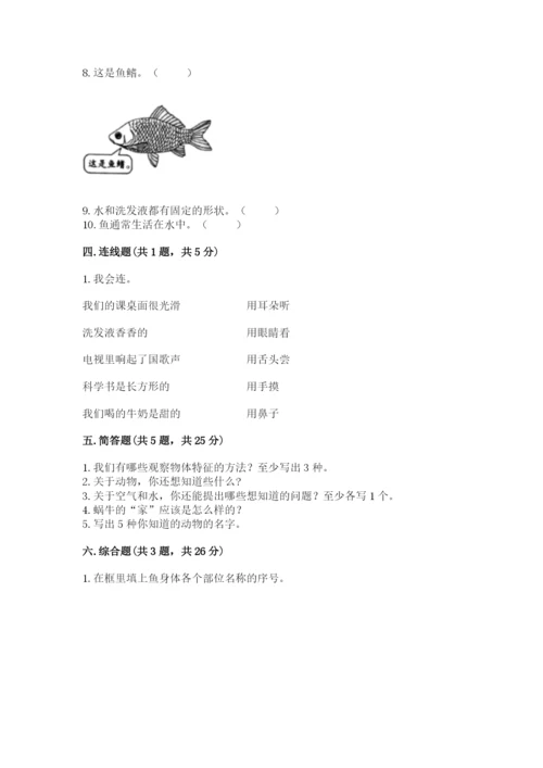 教科版一年级下册科学期末测试卷（历年真题）word版.docx