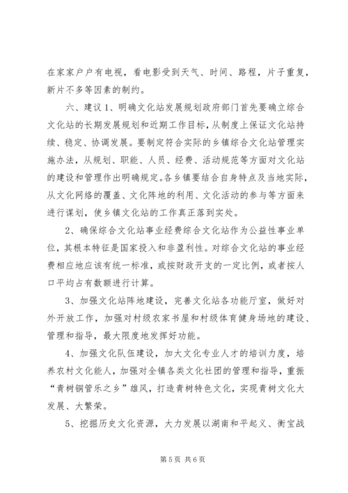 乡镇综合文化站工作调研报告.docx