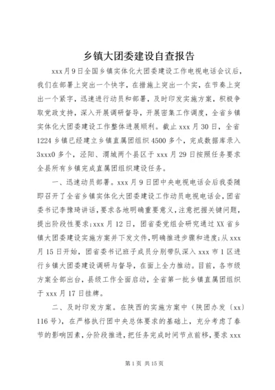 乡镇大团委建设自查报告.docx